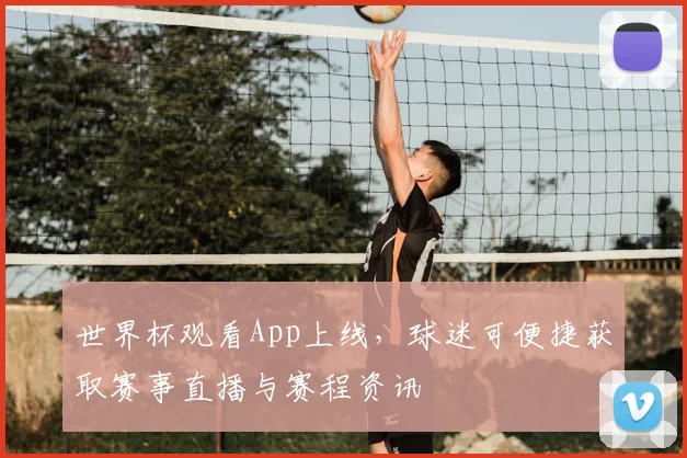 世界杯观看App上线,球迷可便捷获取赛事直播与赛程资讯