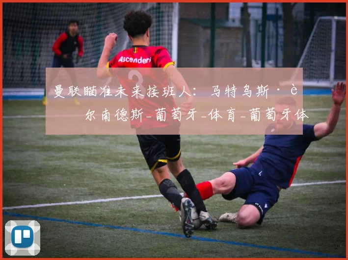 曼联瞄准未来接班人：马特乌斯·费尔南德斯_葡萄牙_体育_葡萄牙体育