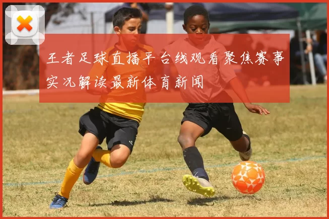 王者足球直播平台线观看聚焦赛事实况解读最新体育新闻